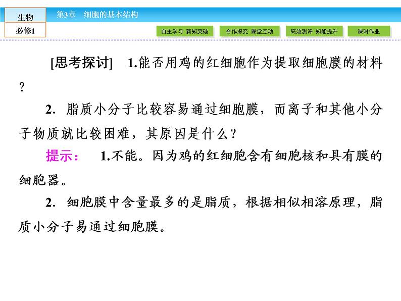 (人教版)高中生物必修一:3.1《细胞膜——系统的边界》ppt课件07