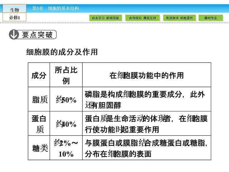(人教版)高中生物必修一:3.1《细胞膜——系统的边界》ppt课件08