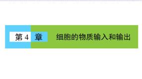 人教版 (新课标)必修1《分子与细胞》第四章 细胞的物质输入和输出第1节 物质跨膜运输的实例授课课件ppt