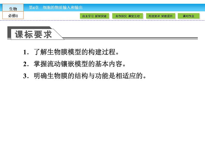 (人教版)高中生物必修一:4.2《生物膜的流动镶嵌模型》ppt课件03