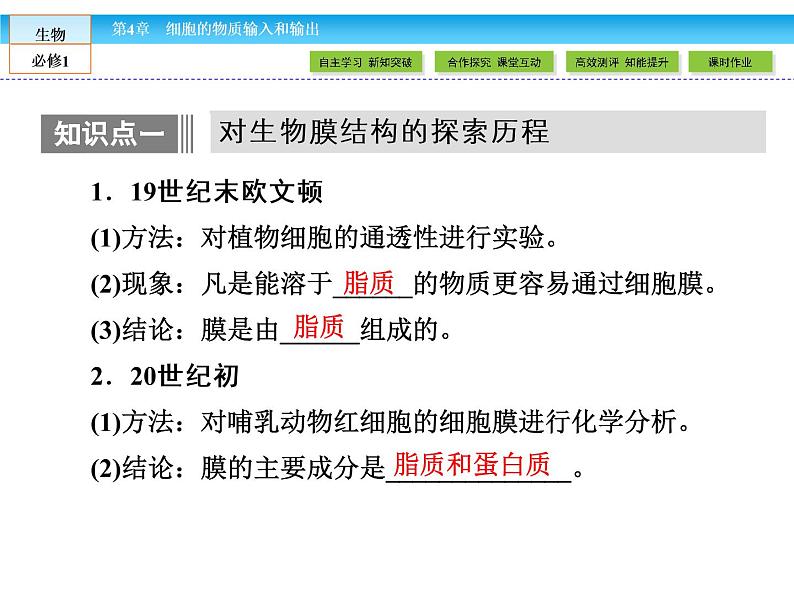(人教版)高中生物必修一:4.2《生物膜的流动镶嵌模型》ppt课件04