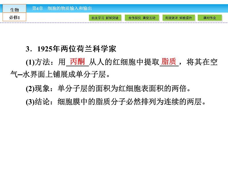 (人教版)高中生物必修一:4.2《生物膜的流动镶嵌模型》ppt课件05
