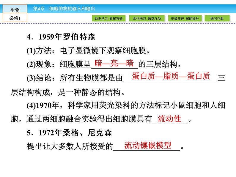(人教版)高中生物必修一:4.2《生物膜的流动镶嵌模型》ppt课件06