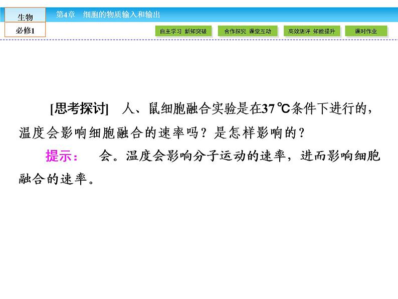 (人教版)高中生物必修一:4.2《生物膜的流动镶嵌模型》ppt课件07