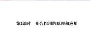 人教版 (新课标)必修1《分子与细胞》二 光合作用的原理和应用[55]教课课件ppt