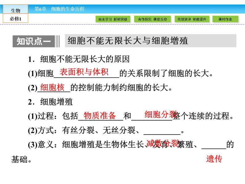 （人教版）高中生物必修一：6.1《细胞的增殖》ppt课件05