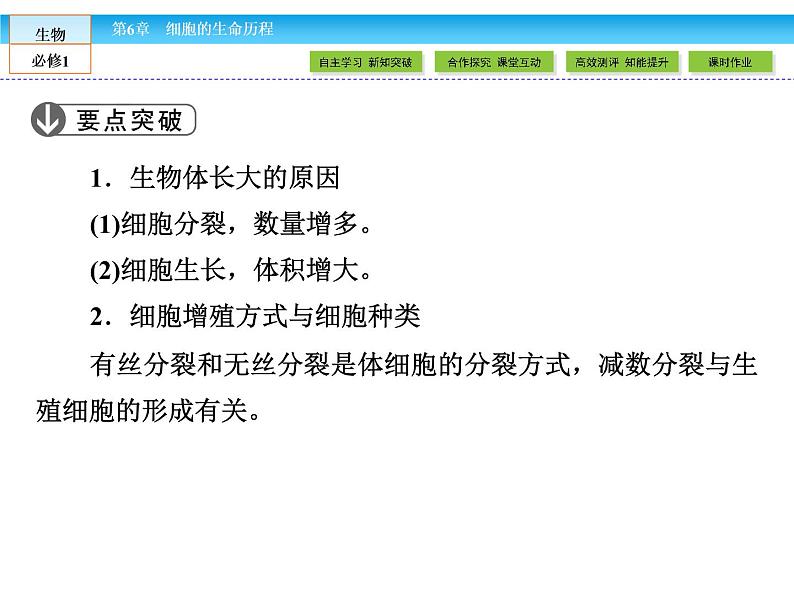 (人教版)高中生物必修一:6.1《细胞的增殖》ppt课件07
