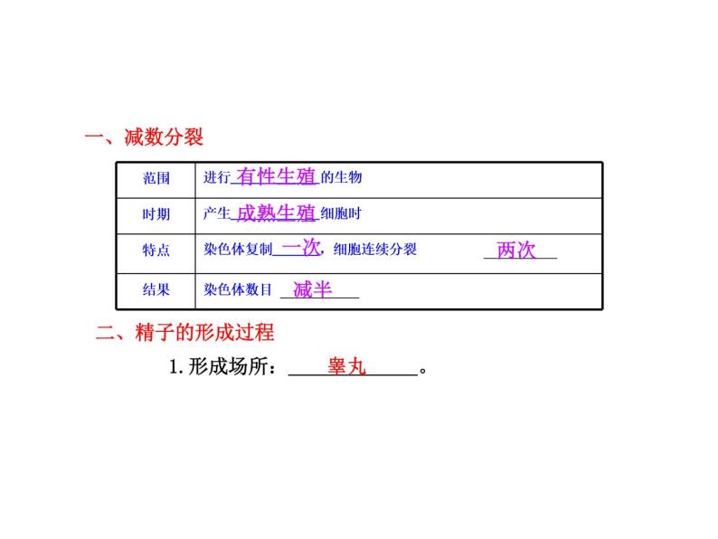 【人教版】高中生物必修二《 2.1 减数分裂》课件04