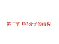 【人教版】高中生物必修二《 3.2 DNA分子的结构》课件1