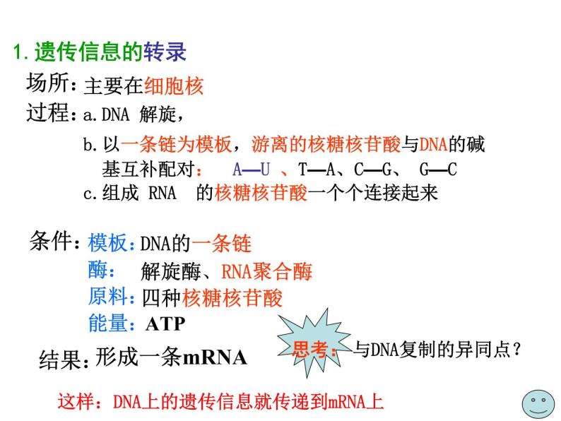 【人教版】高中生物必修二《 4.1 基因指导蛋白质的合成》课件04