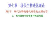 2020-2021学年第七章 现代生物进化理论第2节 现代生物进化理论的主要内容三 共同进化与生物多样性的形成多媒体教学课件ppt