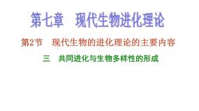 2020-2021学年第七章 现代生物进化理论第2节 现代生物进化理论的主要内容三 共同进化与生物多样性的形成多媒体教学课件ppt