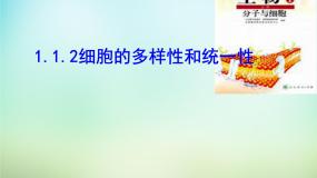 人教版 (新课标)必修1《分子与细胞》第一章 走近细胞第2节 细胞的多样性和统一性教学演示课件ppt