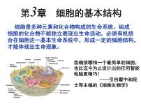 人教版 (新课标)必修1《分子与细胞》第1节 细胞膜──系统的边界备课课件ppt