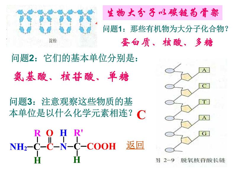 人教版高一生物必修1课件:2.4 细胞中的糖类和脂质 (共53张ppt)04