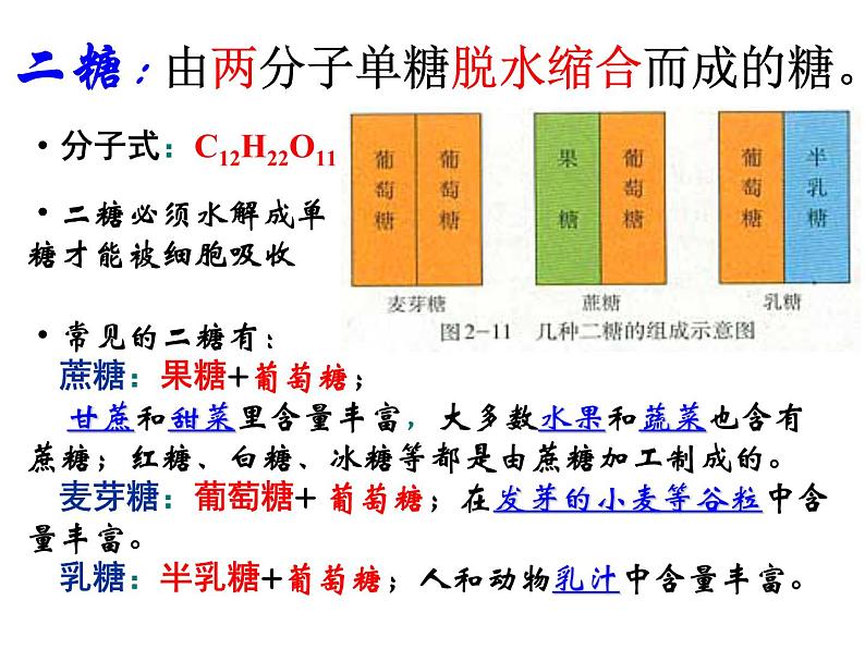 人教版高一生物必修1课件:2.4 细胞中的糖类和脂质 (共53张ppt)07