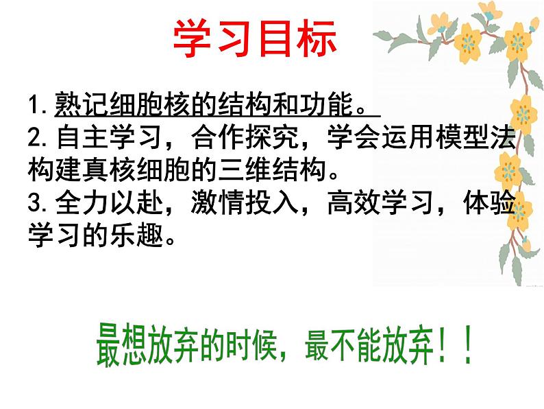 人教版高一生物必修1课件:3.3 细胞核-系统的控制中心106