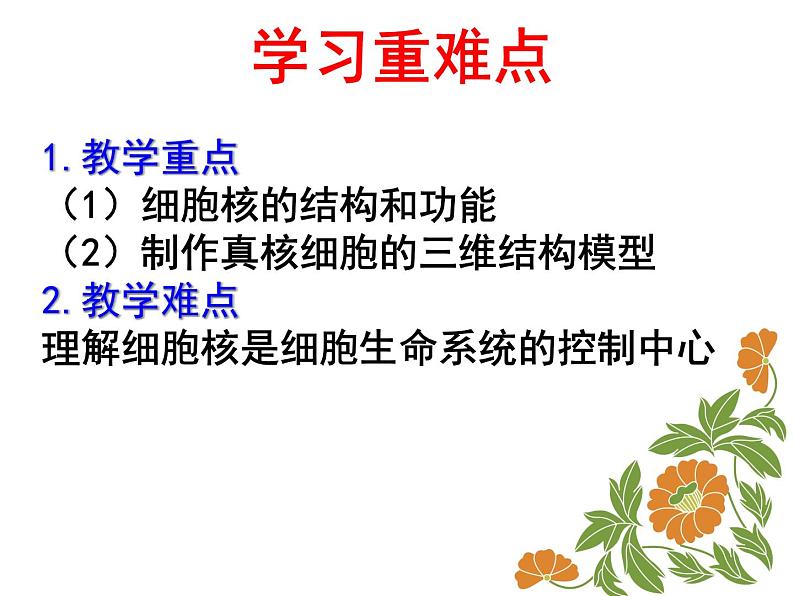 人教版高一生物必修1课件:3.3 细胞核-系统的控制中心107