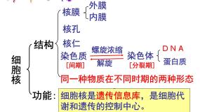 人教版 (新课标)必修1《分子与细胞》第1节 物质跨膜运输的实例图片课件ppt