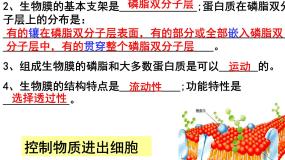 人教版 (新课标)必修1《分子与细胞》第四章 细胞的物质输入和输出第3节 物质跨膜运输的方式图文课件ppt