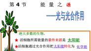 高中生物人教版 (新课标)必修1《分子与细胞》第五章 细胞的能量供应和利用第4节 能量之源——光与光合作用一 捕获光能的色素和结构备课ppt课件