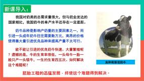 高中生物人教版 (新课标)选修3《现代生物科技专题》专题3 胚胎工程3.1 体内受精和早期胚胎发育备课课件ppt