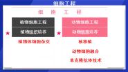 人教版 (新课标)选修3《现代生物科技专题》2.2.2 动物细胞融合与单克隆抗体授课ppt课件