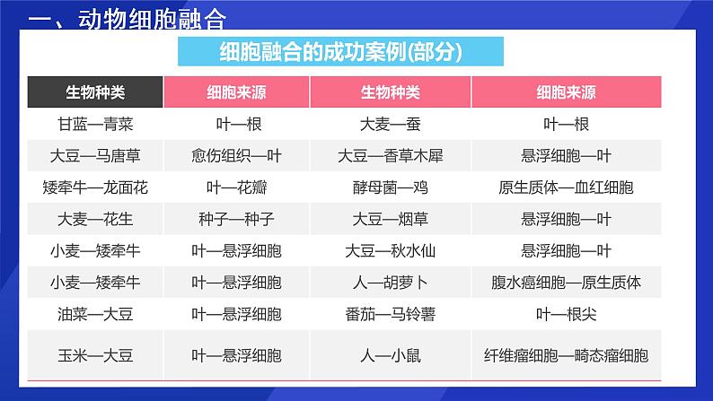2021年春人教版高二生物选修三课件:2.2.2 动物细胞融合与单克隆抗体05