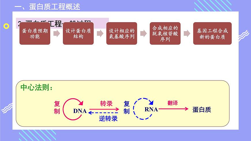 2021年春人教版高二生物選修三課件：1.4 蛋白質(zhì)工程的崛起第6頁