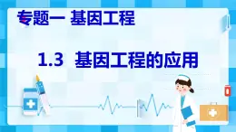 2021年春人教版高二生物选修三课件：1.3  基因工程的应用