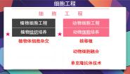 高中生物人教版 (新课标)选修3《现代生物科技专题》2.2.1 动物细胞培养和核移植技术课前预习课件ppt