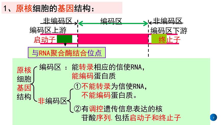 2021年春人教版高二生物選修三課件：1.2  基因工程的基本操作程序第7頁