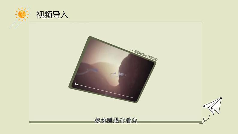 2.1 受精作用 课件【新教材】2020-2021学年高一生物人教版(2019)必修二第2页