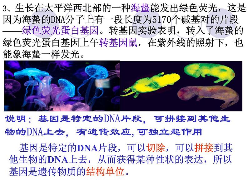 3.4基因通常是有遗传效应的DNA片段-2020-2021学年高一生物人教版(2019)必修2第6页