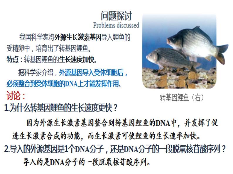 3.4基因通常是有遗传效应的DNA片段-2020-2021学年高一生物人教版(2019)必修2第7页