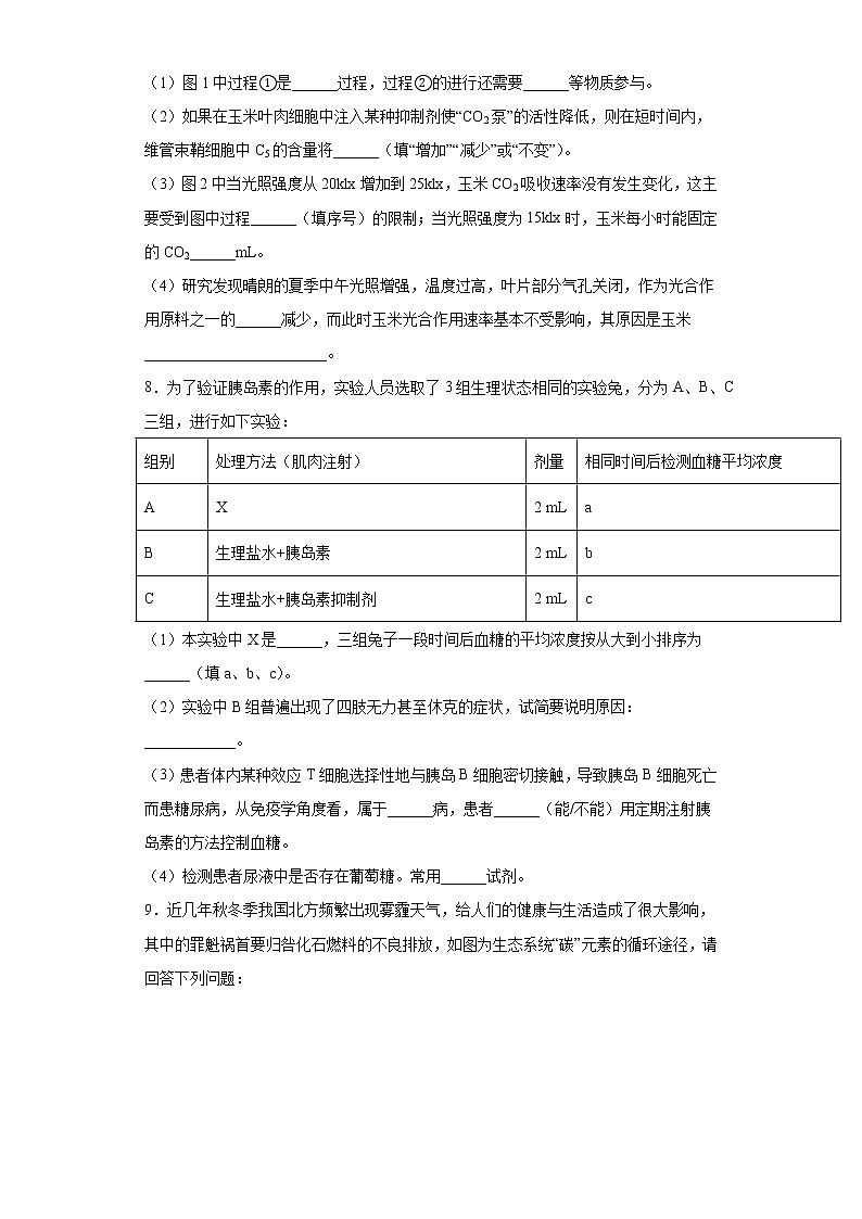 2021届宁夏中卫市高三二模试理综生物试题(word版 含答案)03
