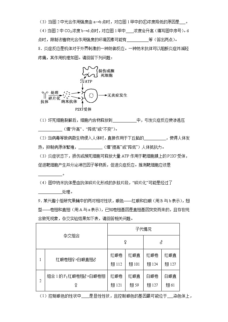 宁夏银川市六盘山市2020-2021学年高三下学期第一次模拟测试理综生物试题(word版 含答案)第3页