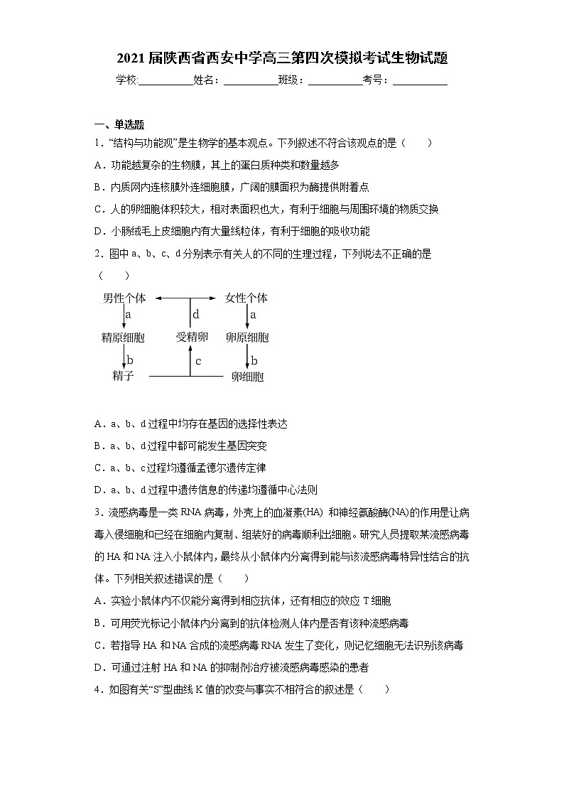 2021届陕西省西安中学高三第四次模拟考试生物试题(word版 含答案)第1页