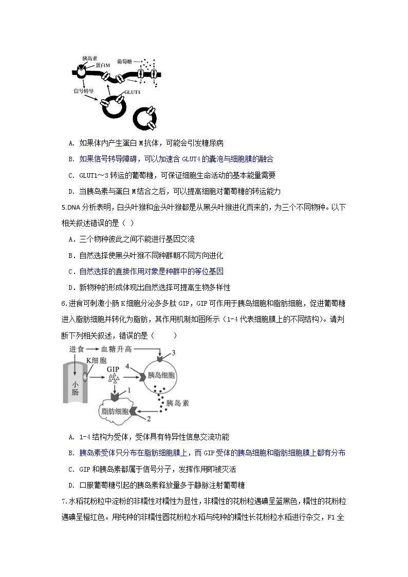 2021年高考八省大联考最新题型适应性考试生物试题二（有答案）02