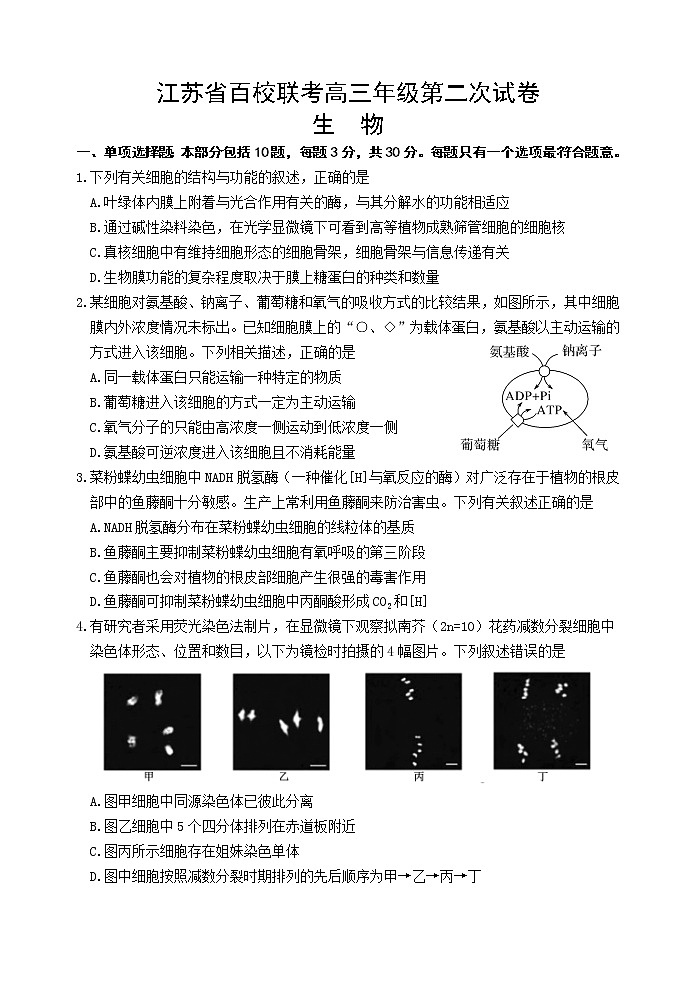 江苏省百校联考2020-2021学年高三第二次试卷生物试卷01