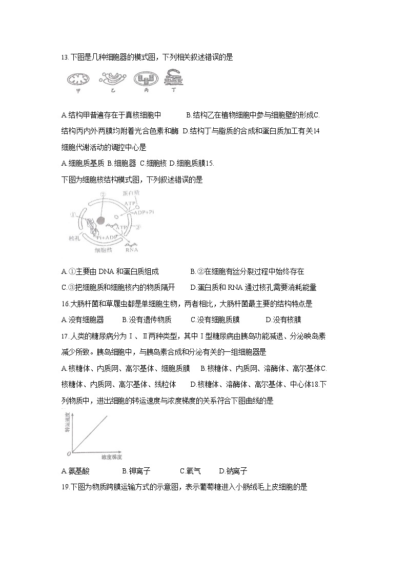 江苏省南京市2020-2021学年高一上学期期末考试生物试题03