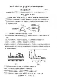 江苏省淮安市2020-2021学年高二上学期期末调研测试生物试题（图片版，无答案）