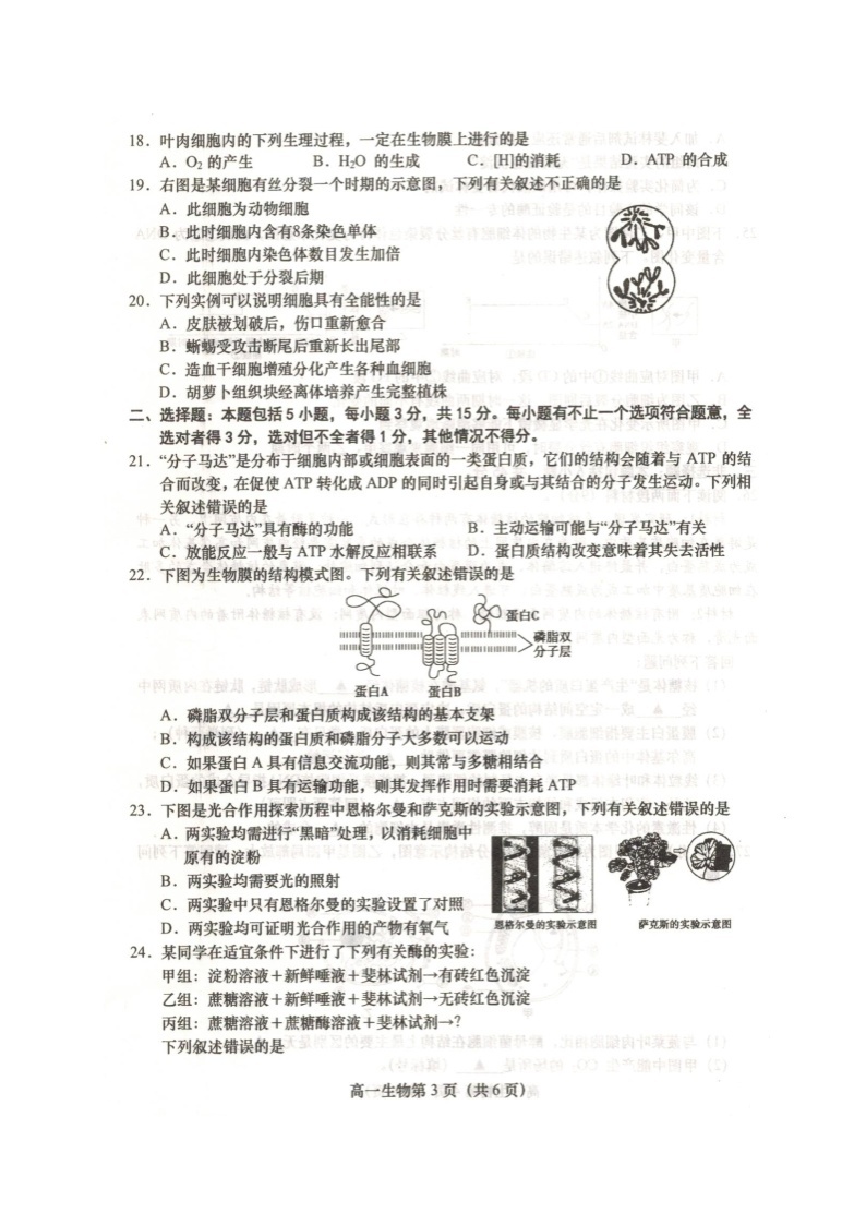 江苏省盐城市阜宁县2020-2021学年高一上学期期末学情调研生物试题（扫描版）03