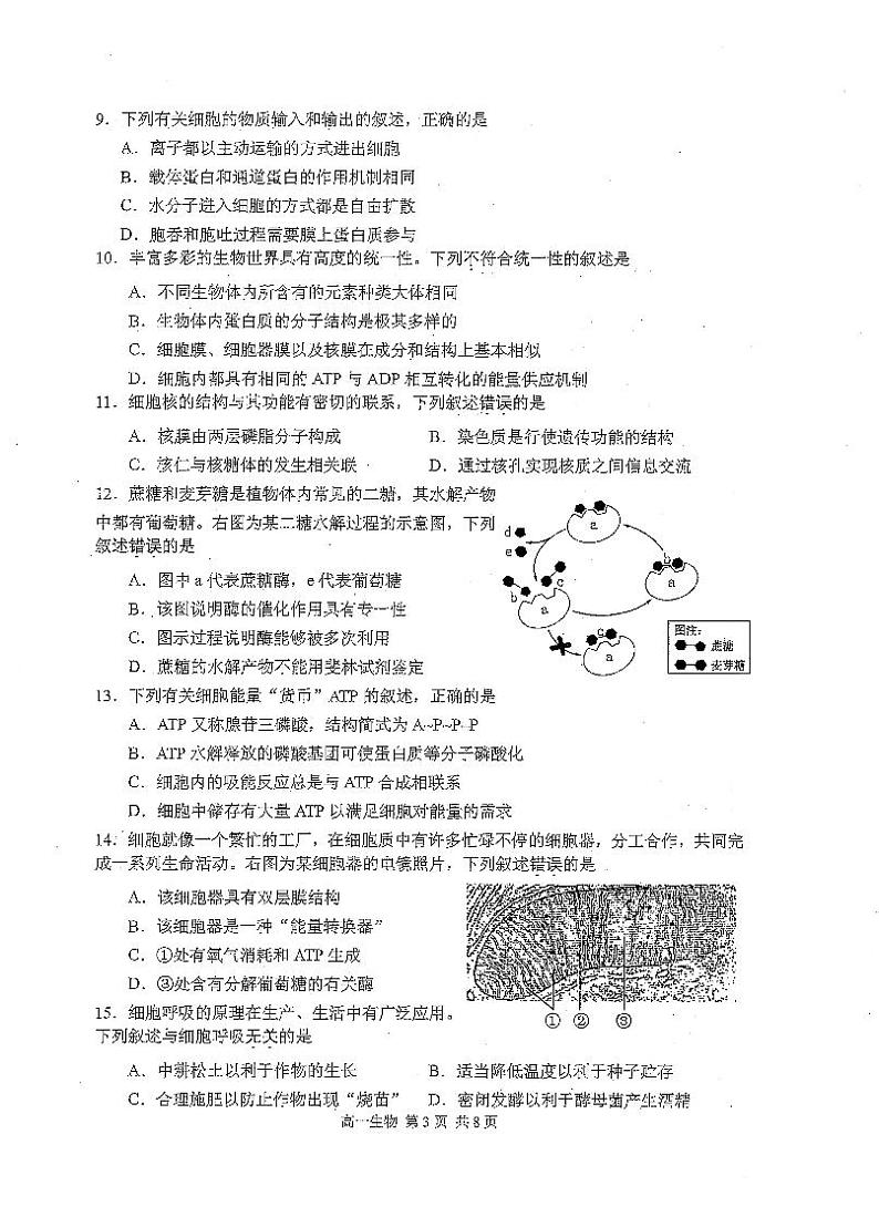 江苏省苏州市2020-2021学年高一上学期学业质量阳光指标调研生物试题(扫描版)03