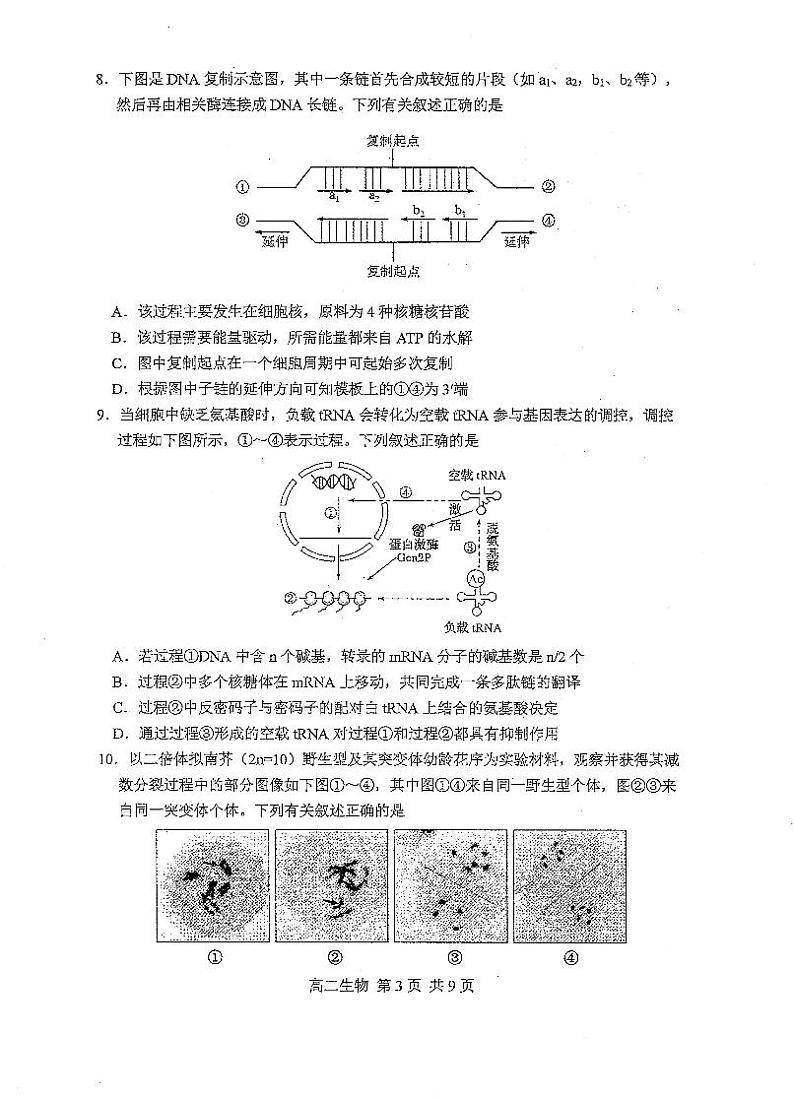 江苏省苏州市2020-2021学年高二上学期学业质量阳光指标调研生物试卷(扫描版)03