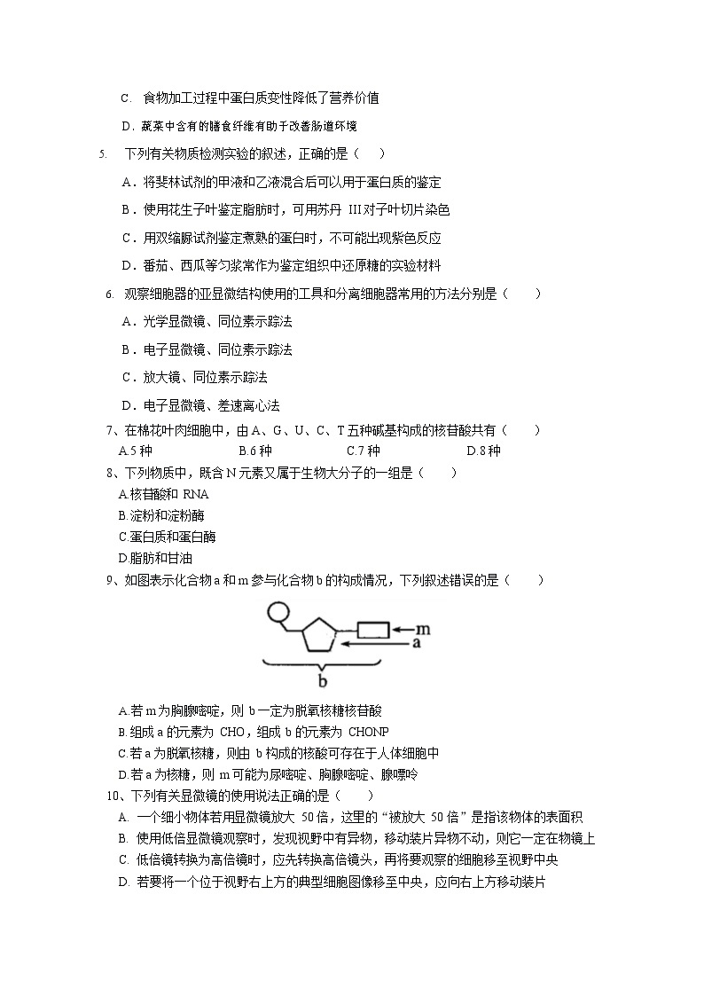 南京师大附中 2020-2021 学年上学期期末考试 高一生物试卷03