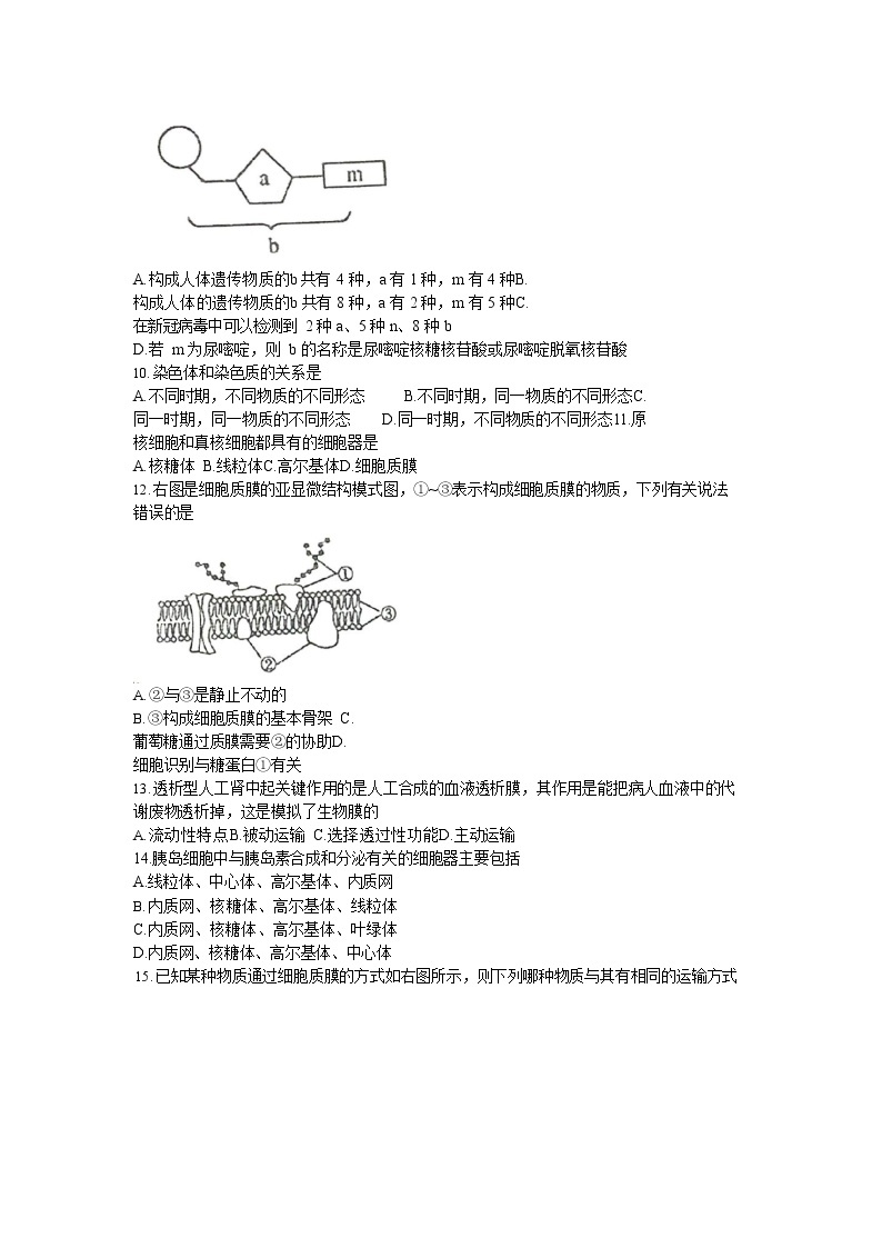 江苏省南京外国语学校2020-2021学年高一上生物期末试卷02
