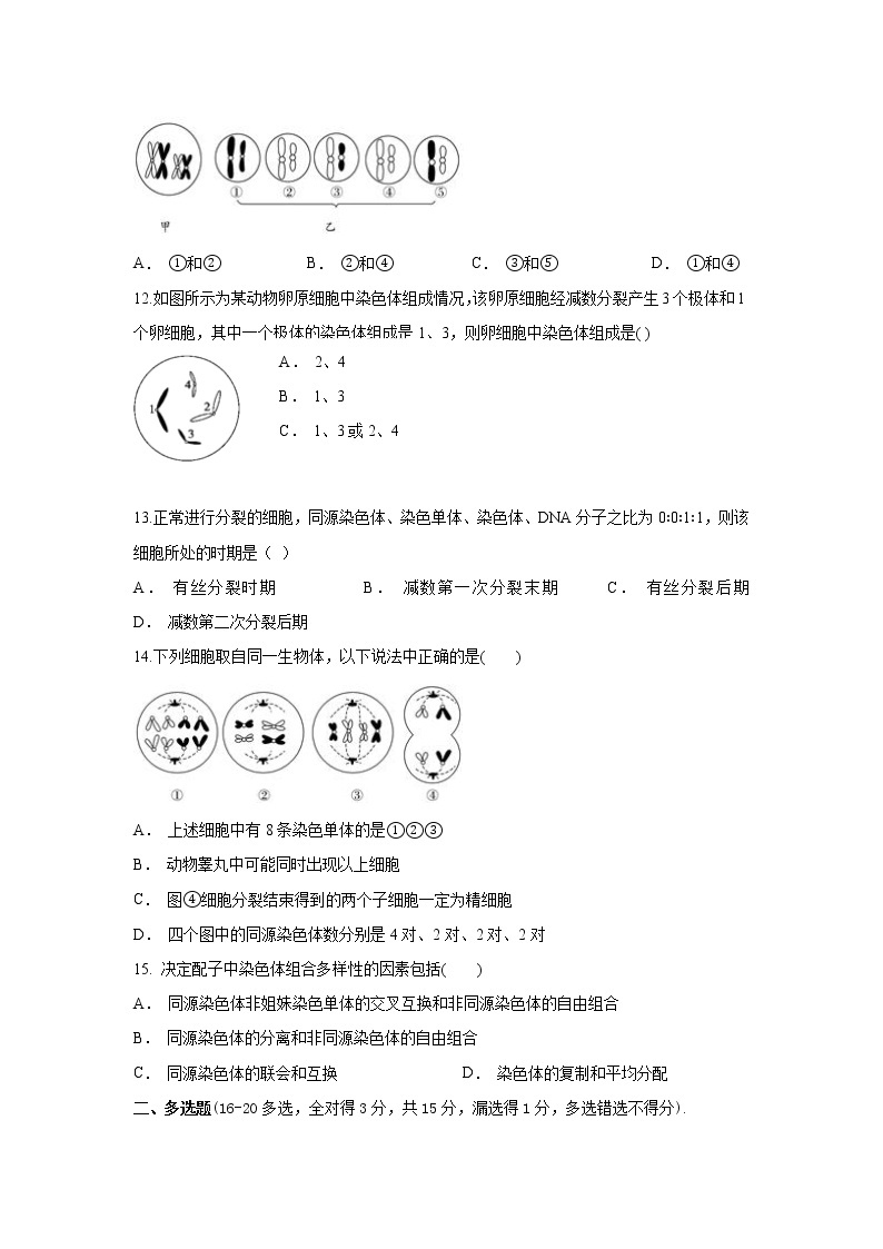 江苏省苏州市陆慕高级中学2020-2021学年高一下学期3月月考生物试卷03