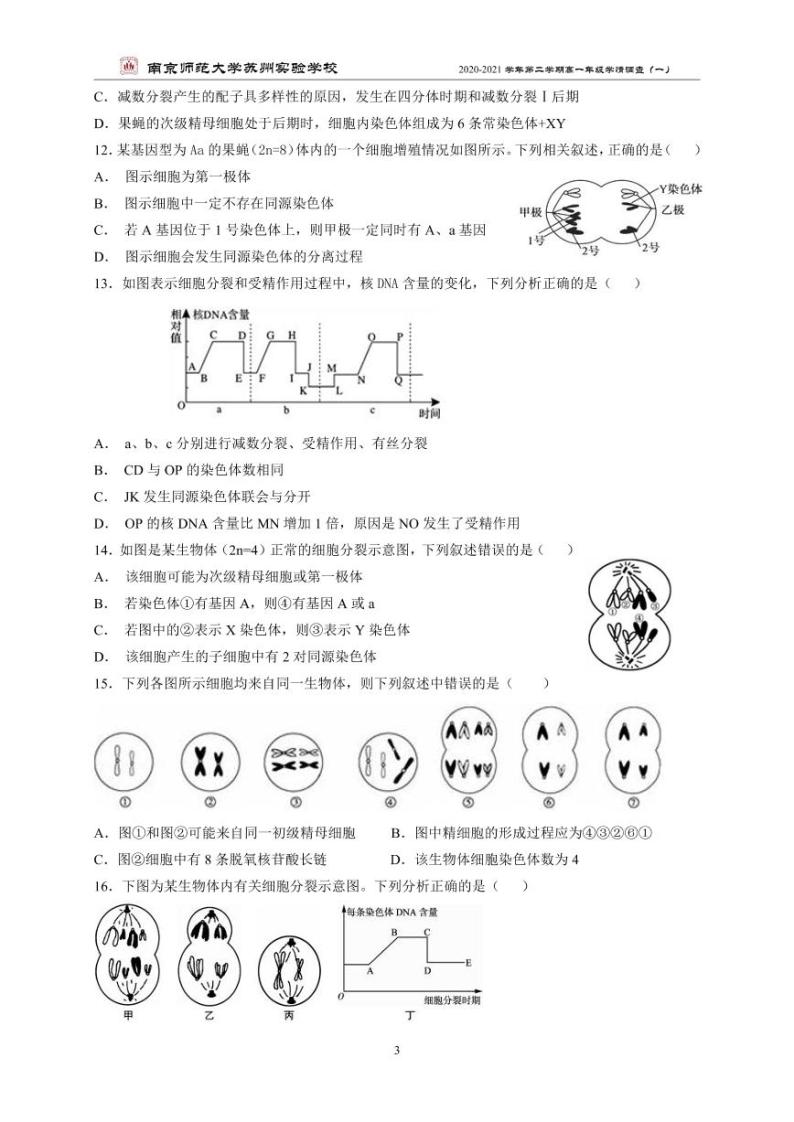 江苏省南京师范大学苏州实验学校2020-2021学年高一学情调查（一）生物试卷（PDF版）03