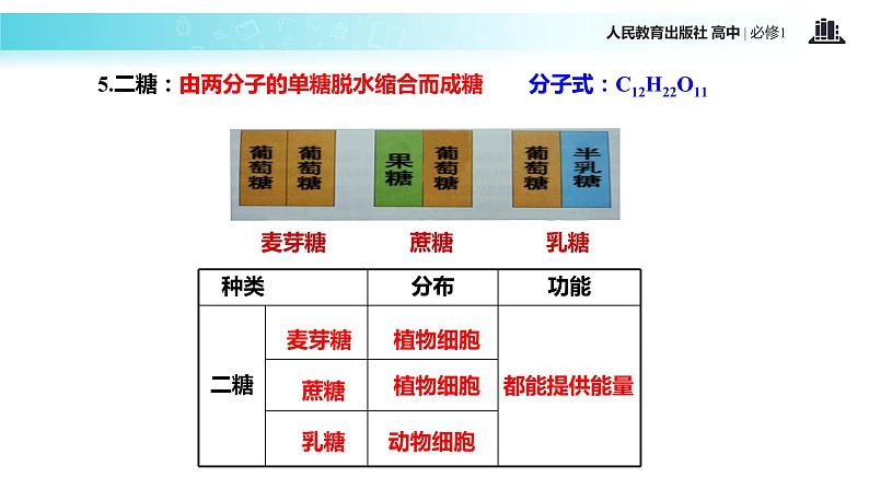 【教学课件】《细胞中的糖类和脂质》(生物人教必修1)06